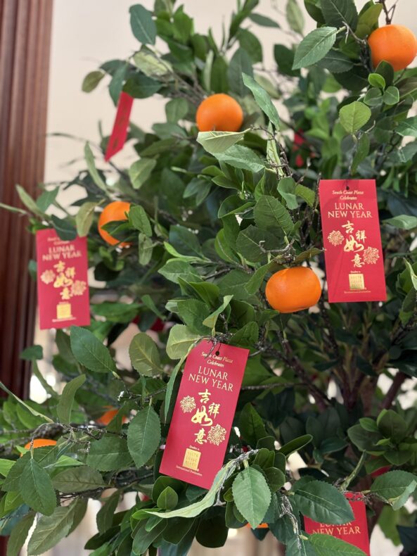 Family friendly event Lunar New Year celebration