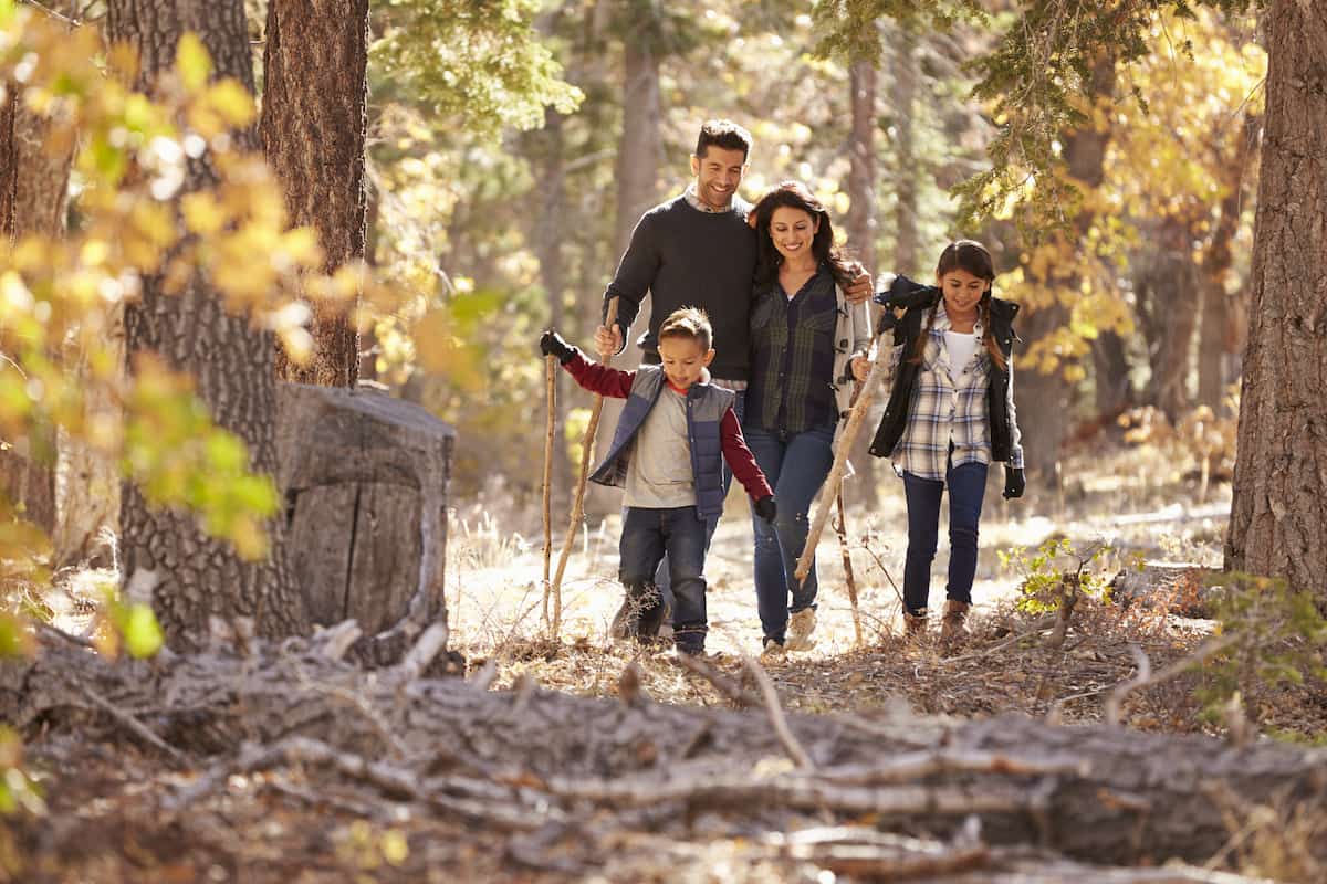 A happy family with two children walking in a forest