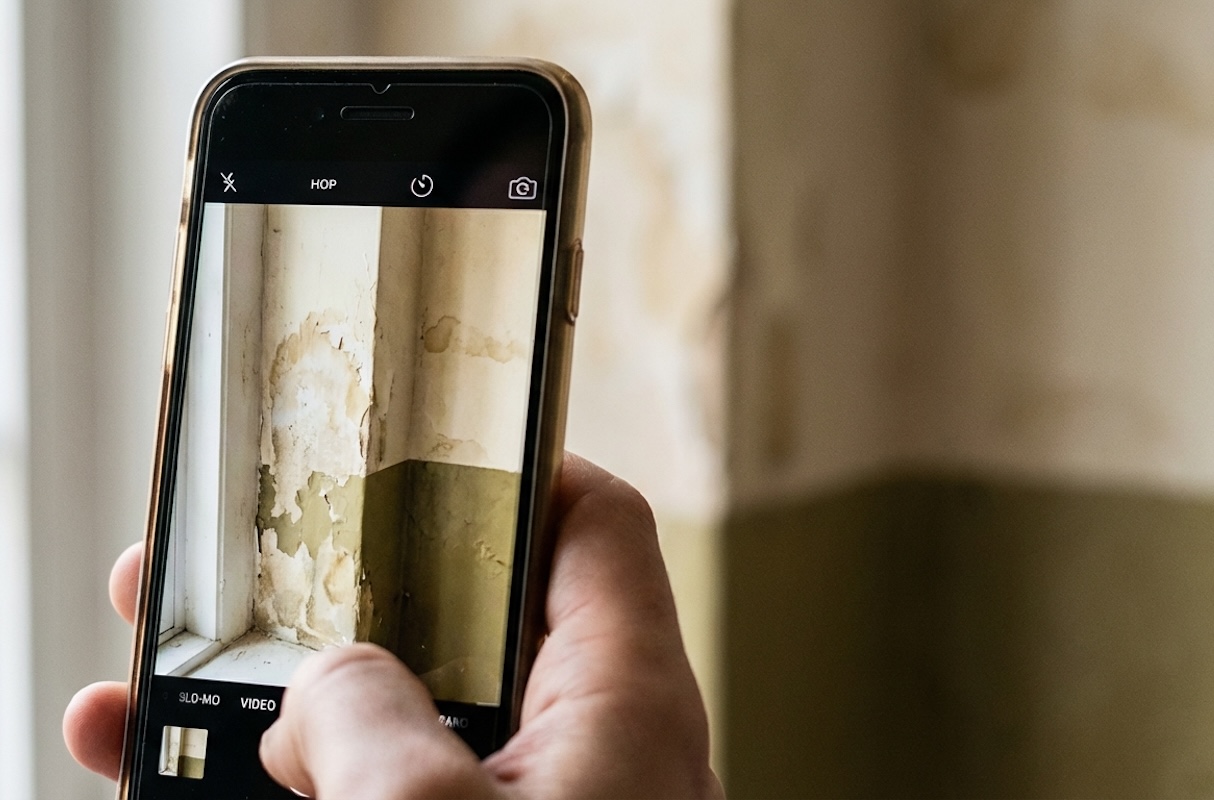 close-up of a person's hand using a smartphone to take a photo of mold on the walls